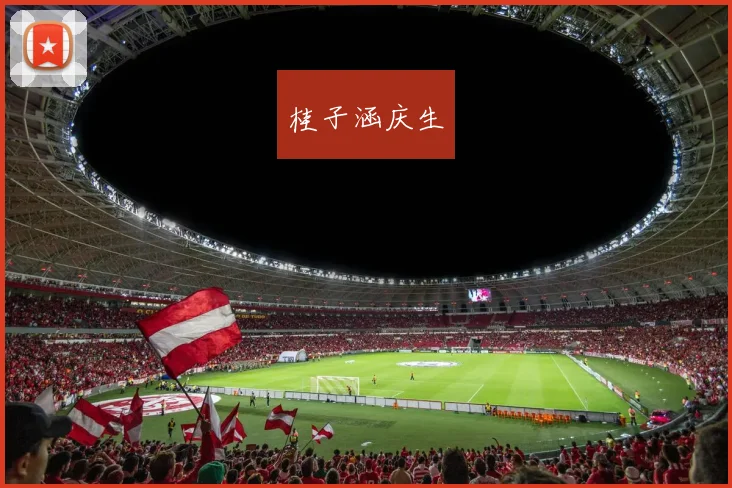 桂子涵庆生